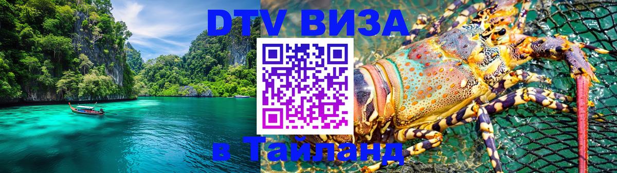 Сколько стоит DTV виза — актуальные цены, оформление даже без документов - 04.10.2025 